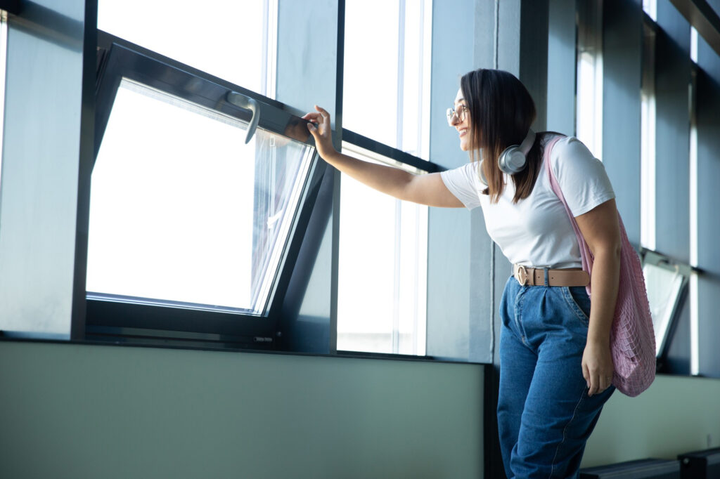 window replacement services