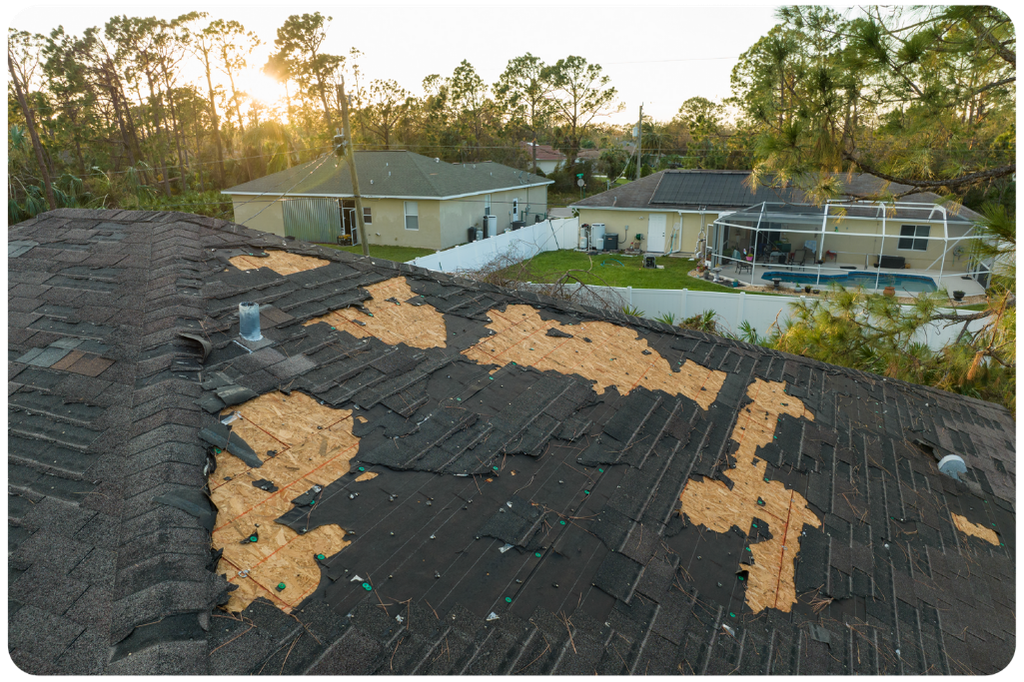 roof maintainace